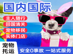 成吉思汗国际宠物托运 【国